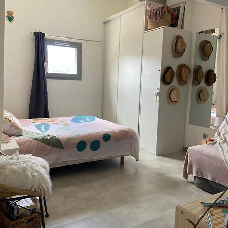 Corse Calvi Appt Cote Mer Экстерьер фото