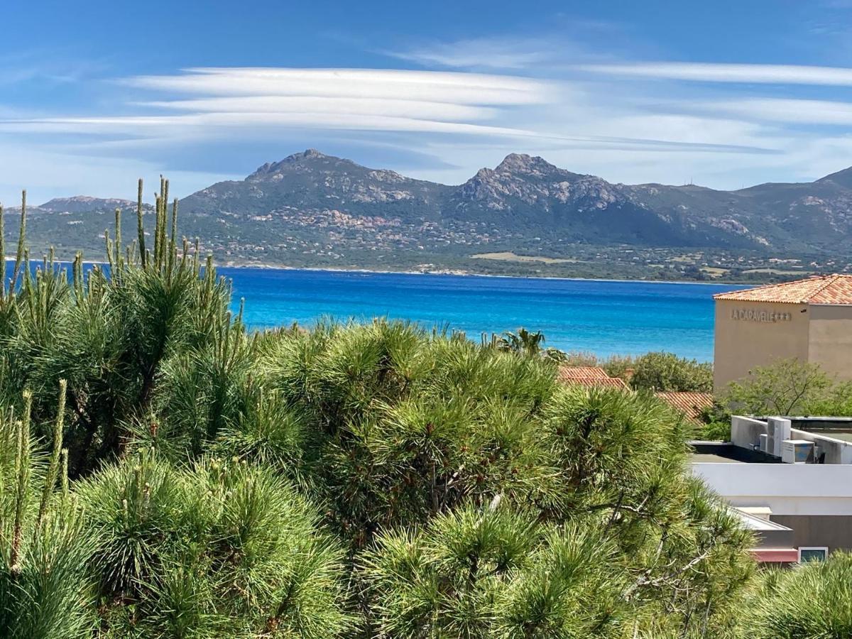 Corse Calvi Appt Cote Mer Экстерьер фото