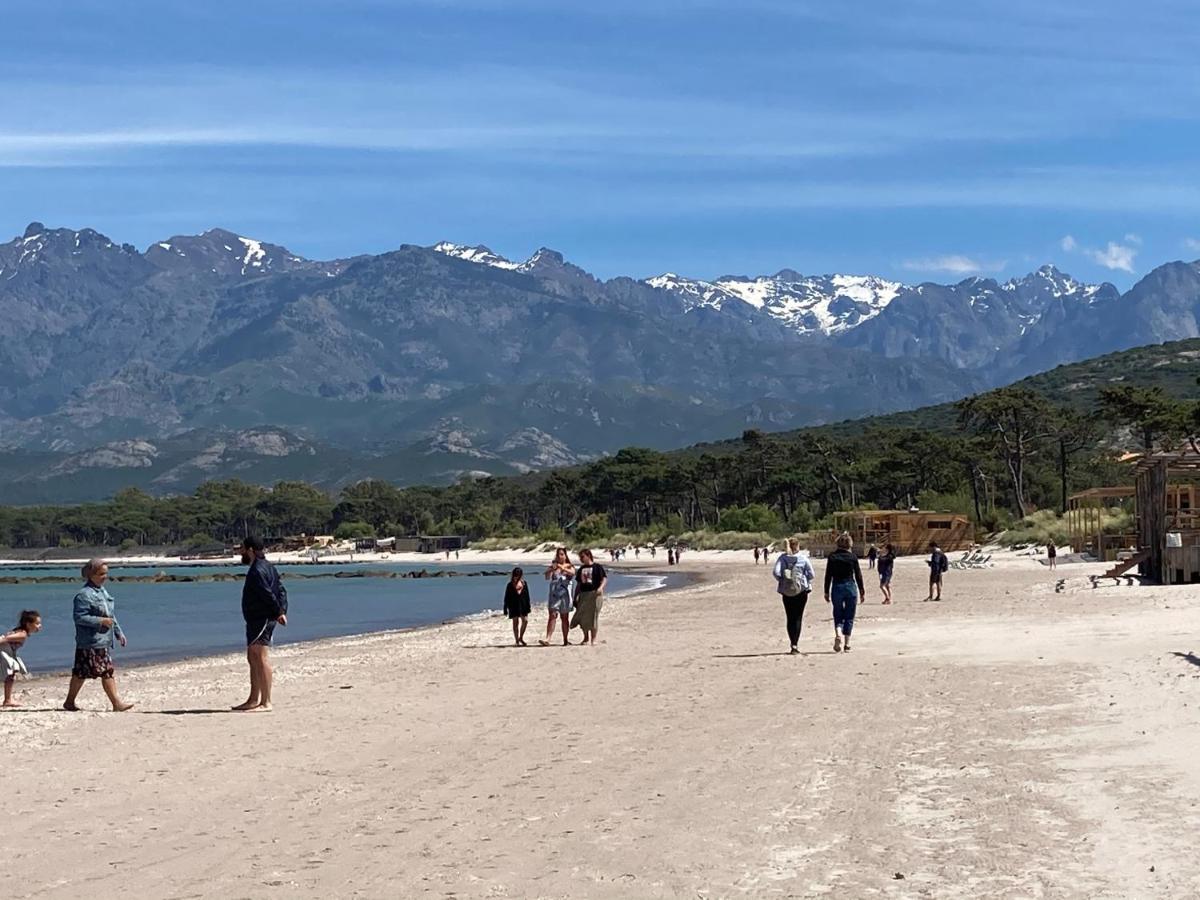 Corse Calvi Appt Cote Mer Экстерьер фото