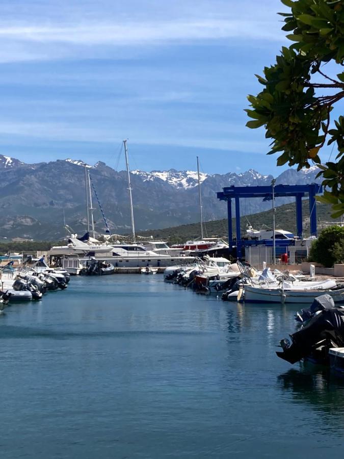 Corse Calvi Appt Cote Mer Экстерьер фото