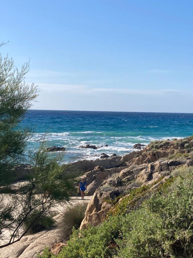 Corse Calvi Appt Cote Mer Экстерьер фото