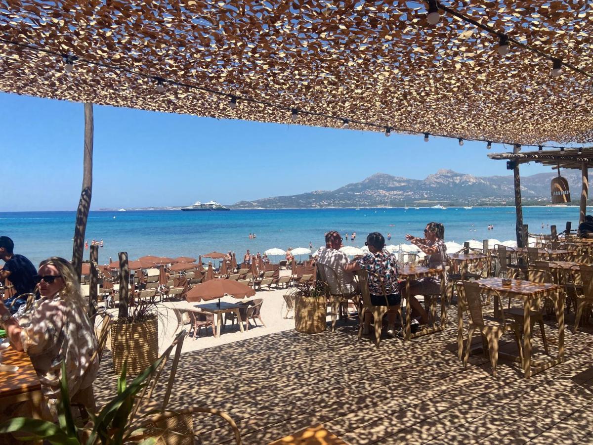 Corse Calvi Appt Cote Mer Экстерьер фото
