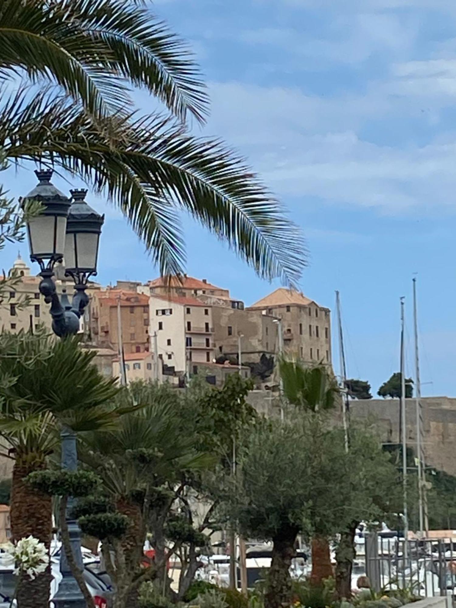 Corse Calvi Appt Cote Mer Экстерьер фото