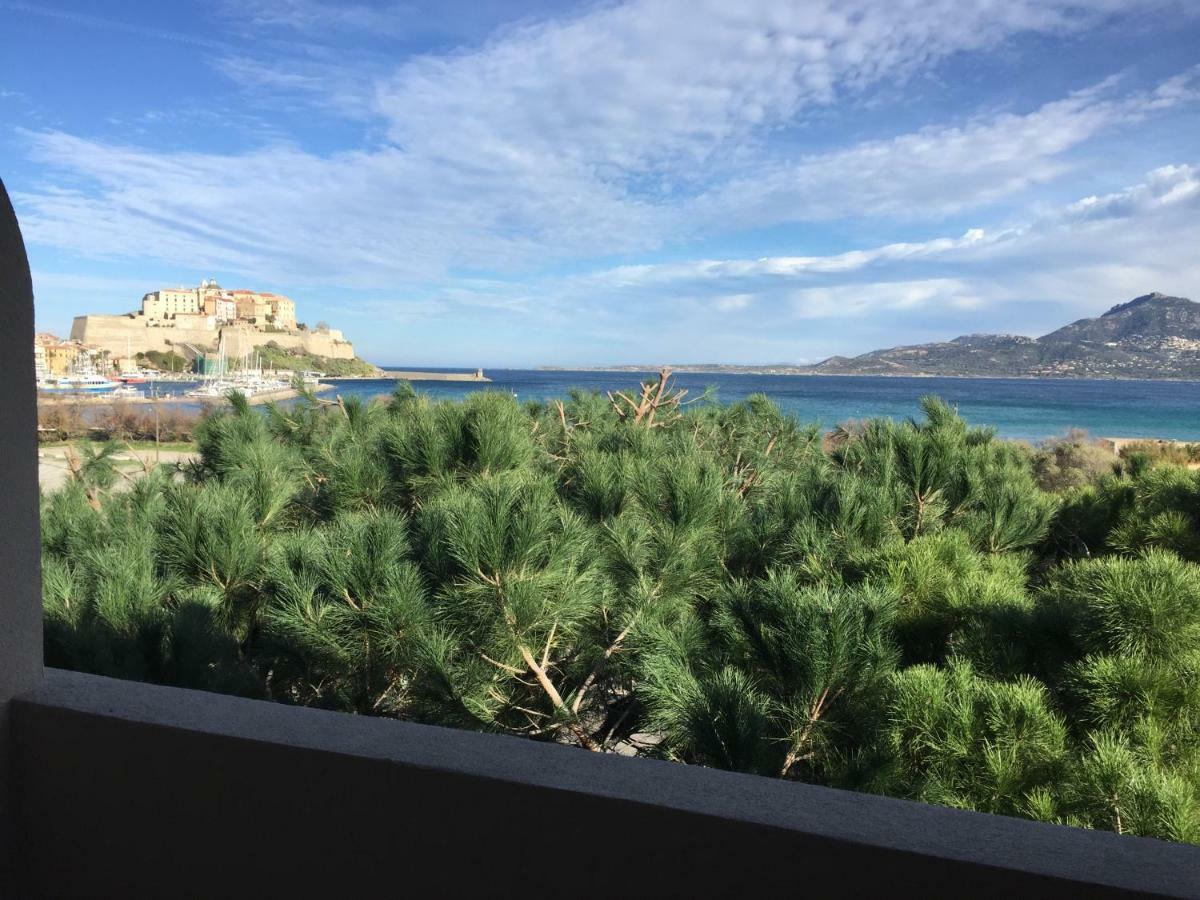 Corse Calvi Appt Cote Mer Экстерьер фото